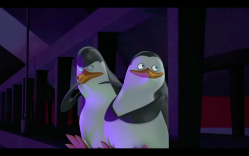  Kowalski... tu know better than to chew your flippers... XD