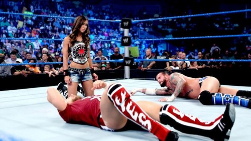  Punk vs Kane for the wwe Championship