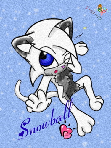  Snowball! ~<3 ((For Cookehmasterz)) |3