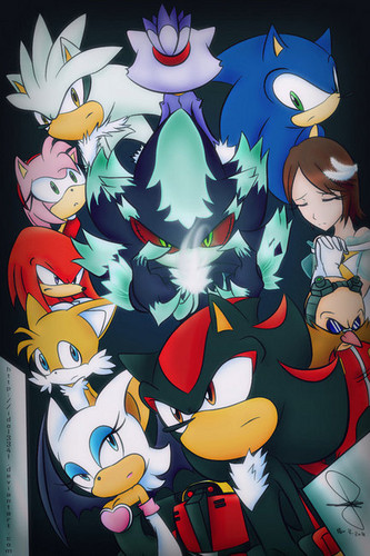  Sonic 06
