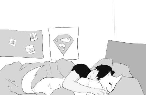  Superboy and loup sleep