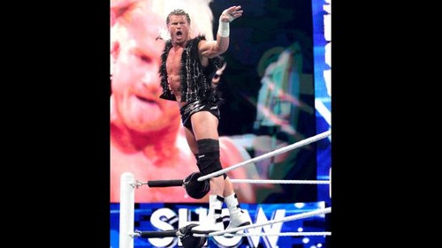 WWE Raw Ziggler vs Sheamus