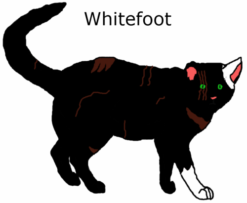  Whitefoot (Iceclan: Oaksfrost's Journey)