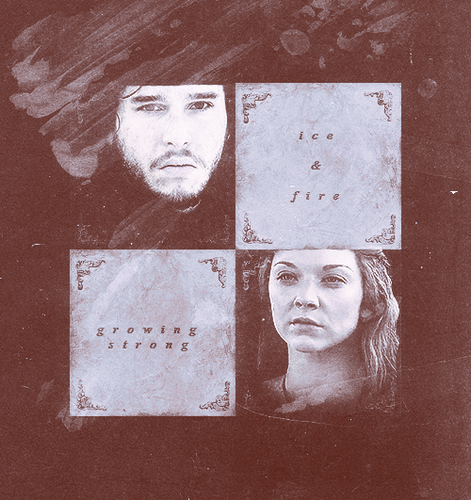  Jon Snow & Margaery Tyrell