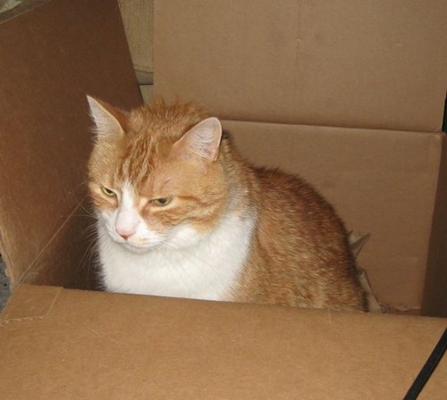  sunny in his chubby days nd a box