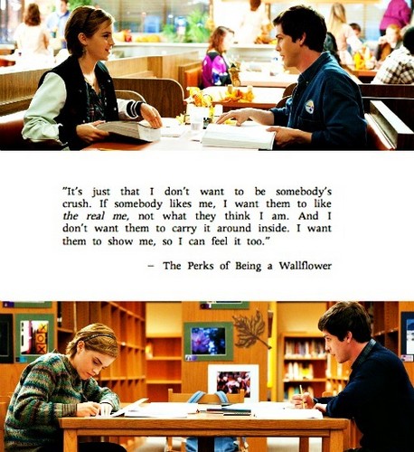  the perks of being a wallflower