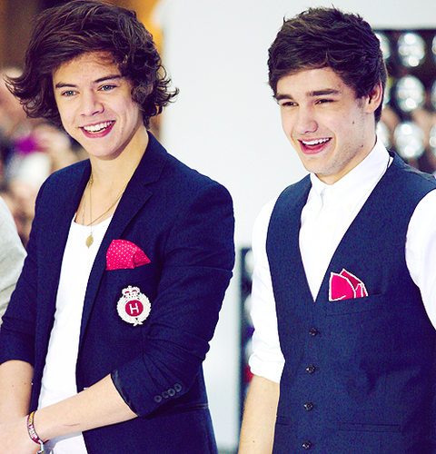  ♥ Harry & Liam ♥