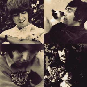  Beatles With बिल्ली