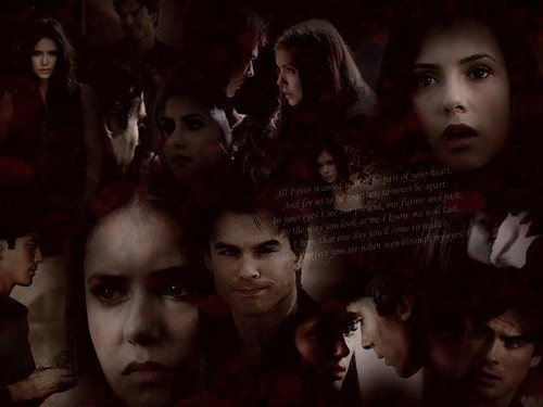  Elena & Damon