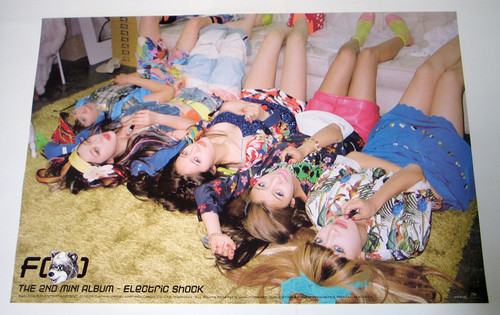  f(x) @ Electric Shock Individual Poster