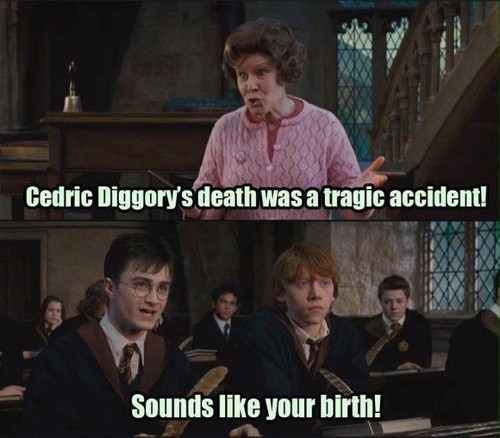 Funny Harry Potter
