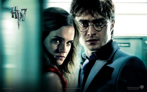  Harry and Hermione