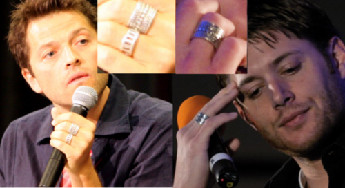  Misha & Jensen Similarities