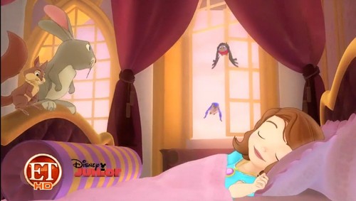  Sofia the first new pictures