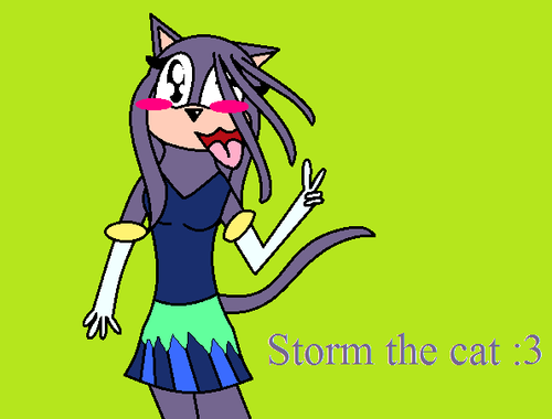  Storm the cat