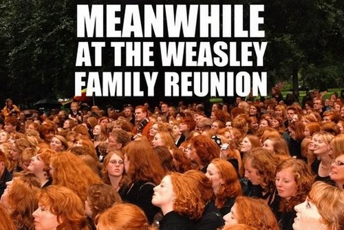  Weasley Family Reunion