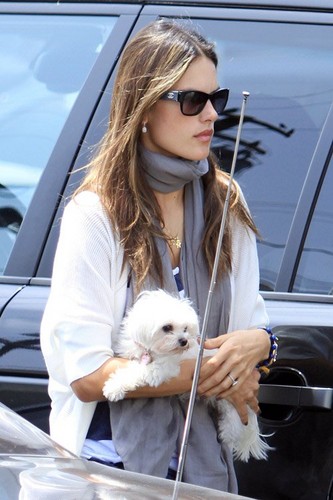  Alessandra picking up her daughter Anja after a full दिन at school and taking her dog to the vet