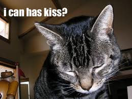  Can I have a kiss?