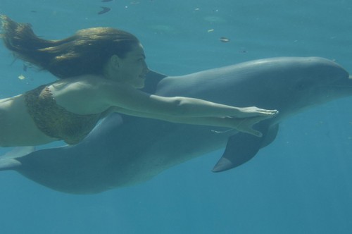  Cleo swimming with a dolphin