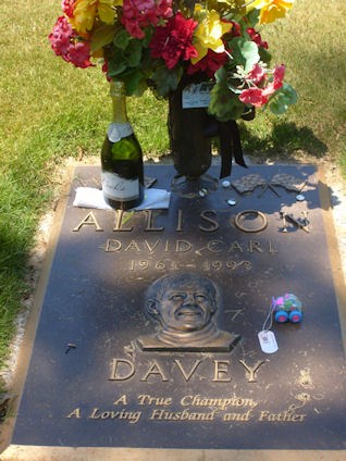  David Carl "Davey" Allison (February 25 1961 – July 13 1993