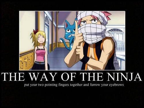  Fairy Tail Demootivational Posters