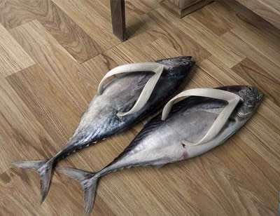 Fish shoes!
