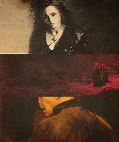  Voldemort & Bellatrix