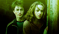  Harry and hermione films 1-8
