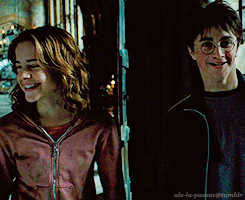  Harry and hermione
