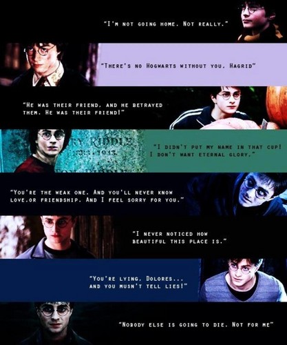  Harry's quotes