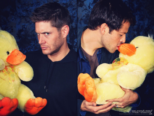  Jensen, Misha and Ducks!