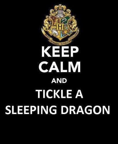  Keep Calm And Tickle A Sleeping Dragon