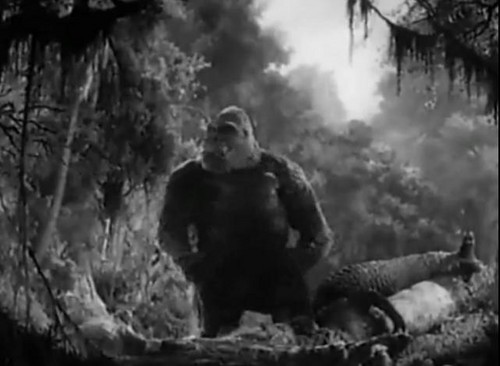  King Kong kills T-rex