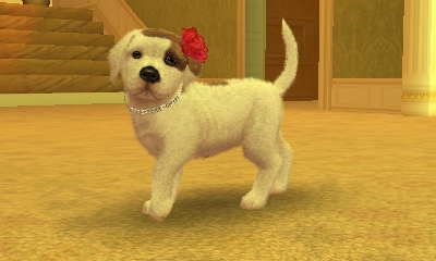  My Epic Dog Daisy! :]
