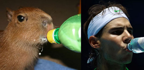  Rafael Nadal funny Lookalike...