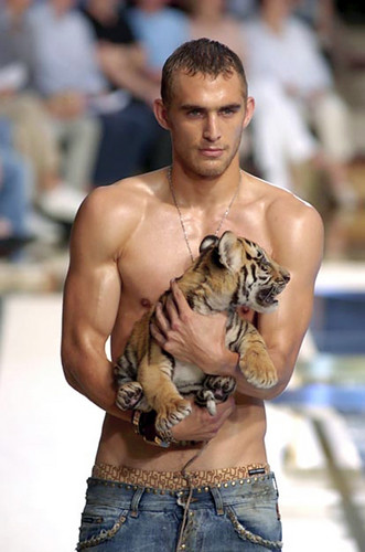 Will Chalker by Dolce & Gabbana with Baby Tiger