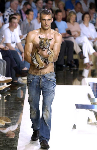 Will Chalker by Dolce & Gabbana with Baby Tiger