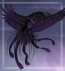  black phoenix