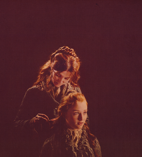  Sansa & Catelyn