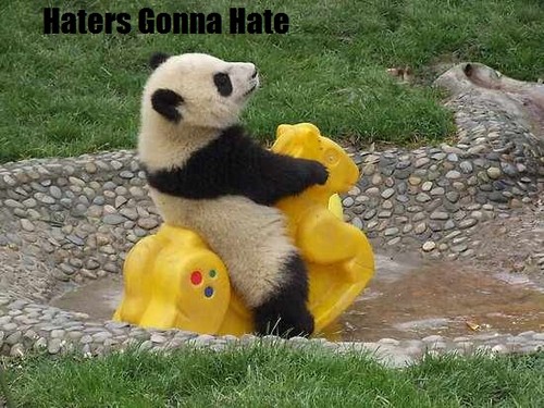  Panda gonna hate