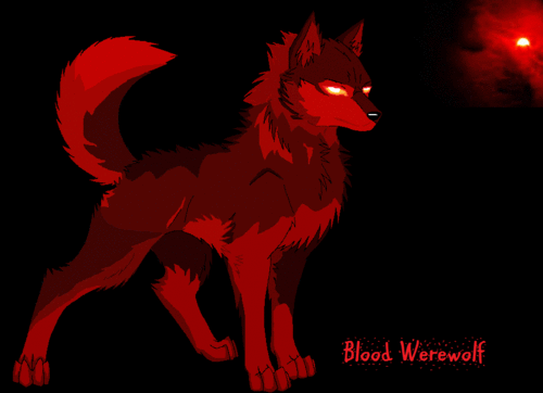 shadow the wolf 