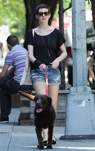  Anne leaving an Upper East Side hospital with her pooch