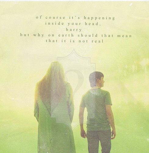  Harry & Dumbledore
