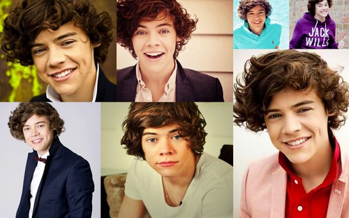  Harry Styles Collage