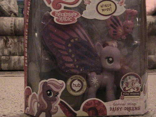  My Glimmer Wings margarita Dreams toy in the box!