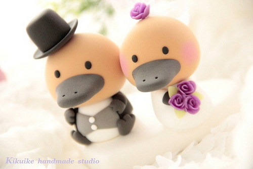  Platypus Marriage- It's The Best There is