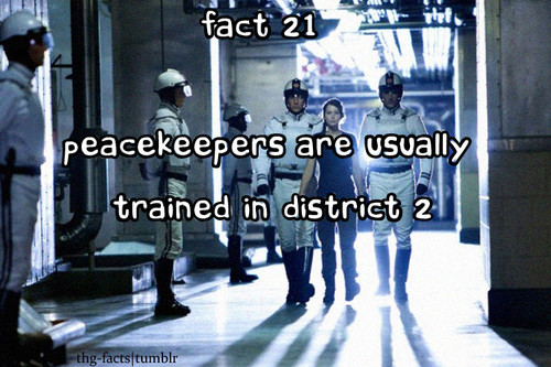 The Hunger Games facts 21-40