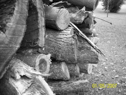 Wood pile