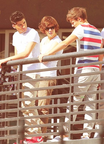  Zayn ♥ Harry & Louis