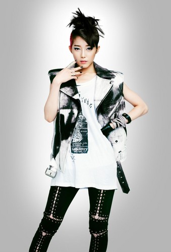  Zinni Debut Concept Picture